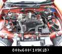 Engine Bay